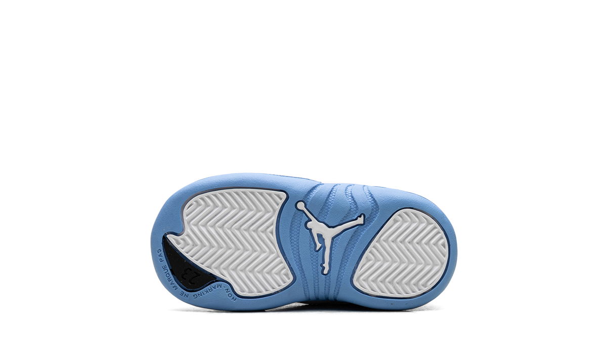 Jordan 12 Retro TD Melo 850000 112